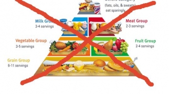 food pyramid