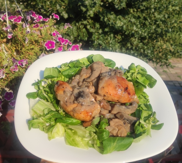 Göngyölt csirkemell portobello gombaszósszal